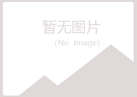 铜川字迹电讯有限公司